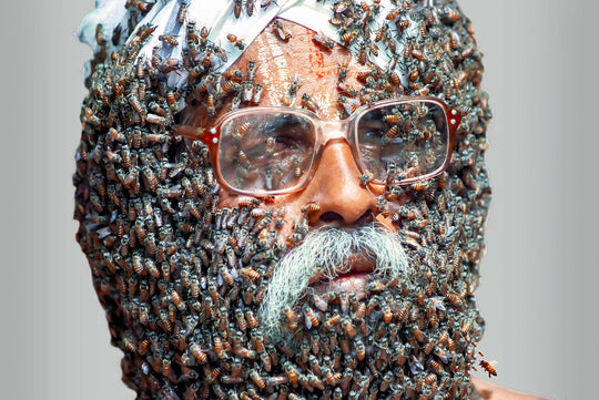Guinness World Records Outsmarted